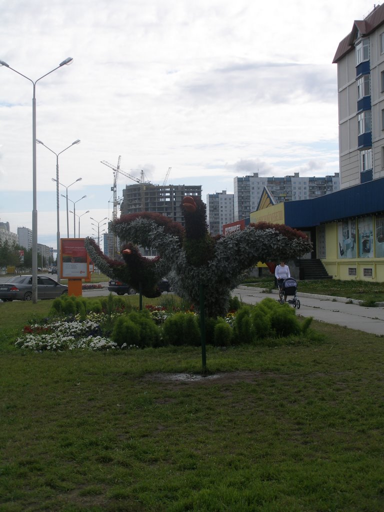 Птицы из трав и цветов ул. Ленина (лето 2008), Нижневартовск