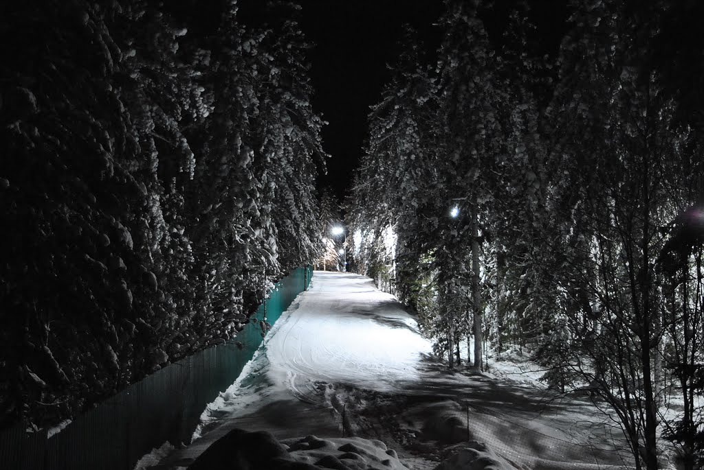 Ночной зимний лес   ~SAG~, Ханты-Мансийск