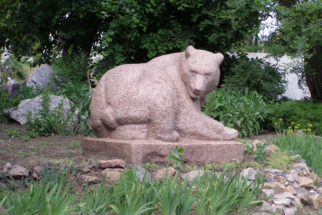 Городской медведь, Барнаул