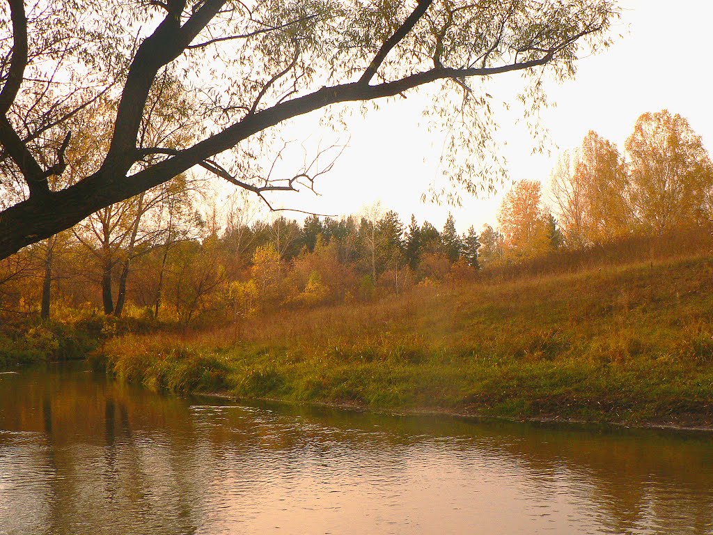 речка Черемшанка, Белоярск