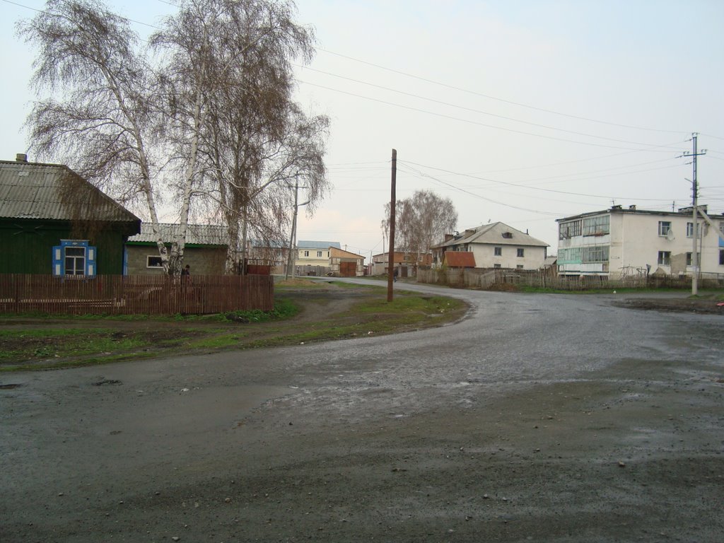 Часный сектор, Заринск