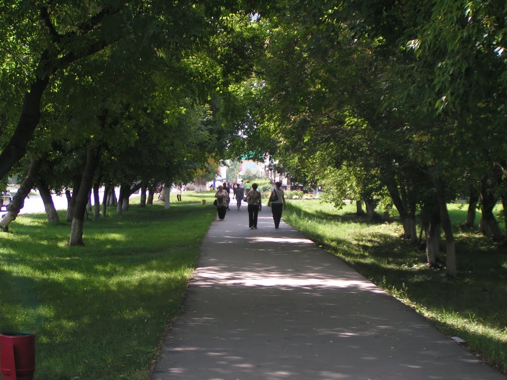 Аллея вдоль пр.Строителей, Заринск
