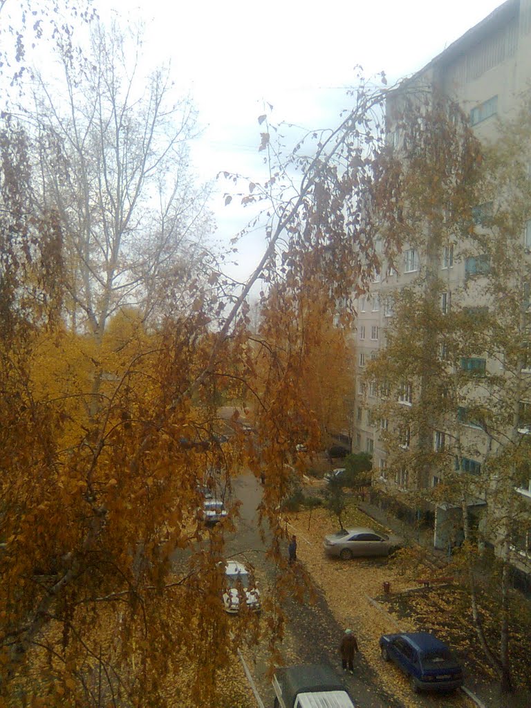 Осень в Заринске, Заринск