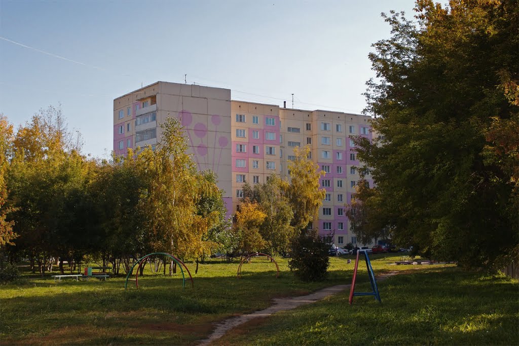 Зеленые дворы Заринска, Заринск