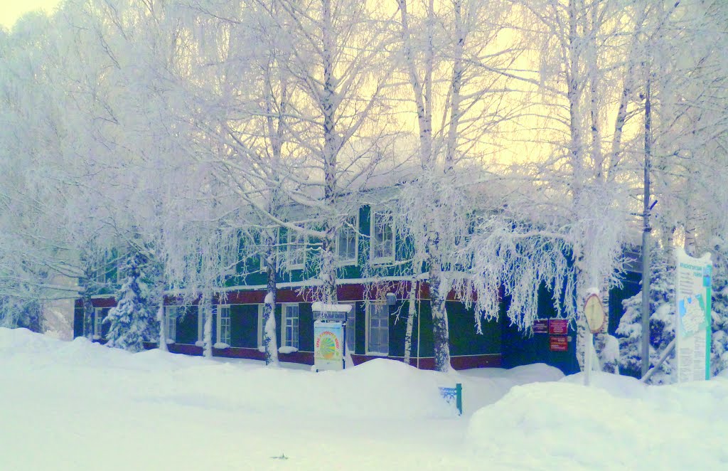 Алтайфлора первомайская ул 36 село красногорское фото Алтайфлора первомайская ул 36 село красногорское фото