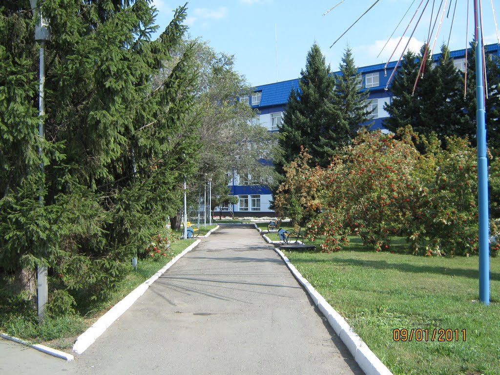 Аллея перед заводом, Новоалтайск