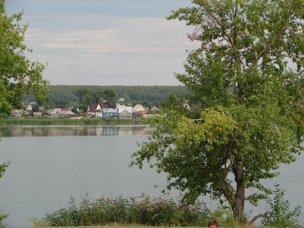 Павловский пруд, вид со стадиона., Павловск