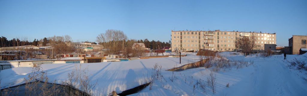 Взгяд зима 2011г., Павловск