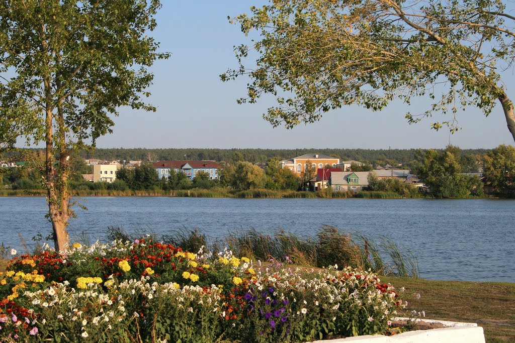 На берегу пруда, Павловск