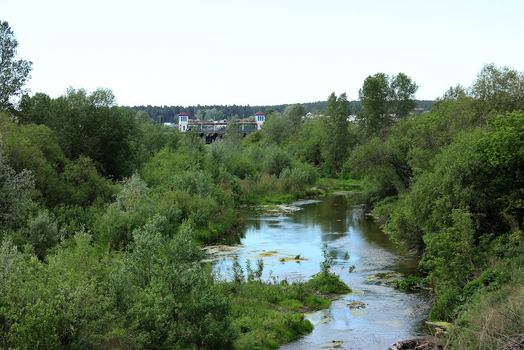 Речка Касмала у плотины, Павловск