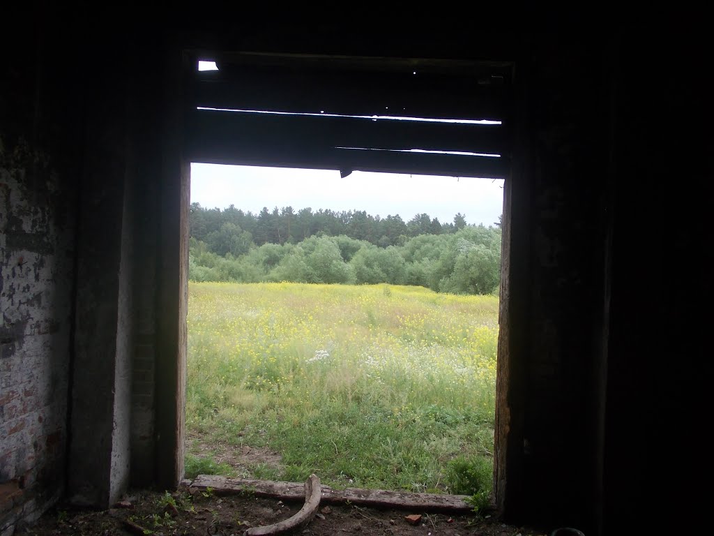 Вид из заброшенной мельницы., Ребриха