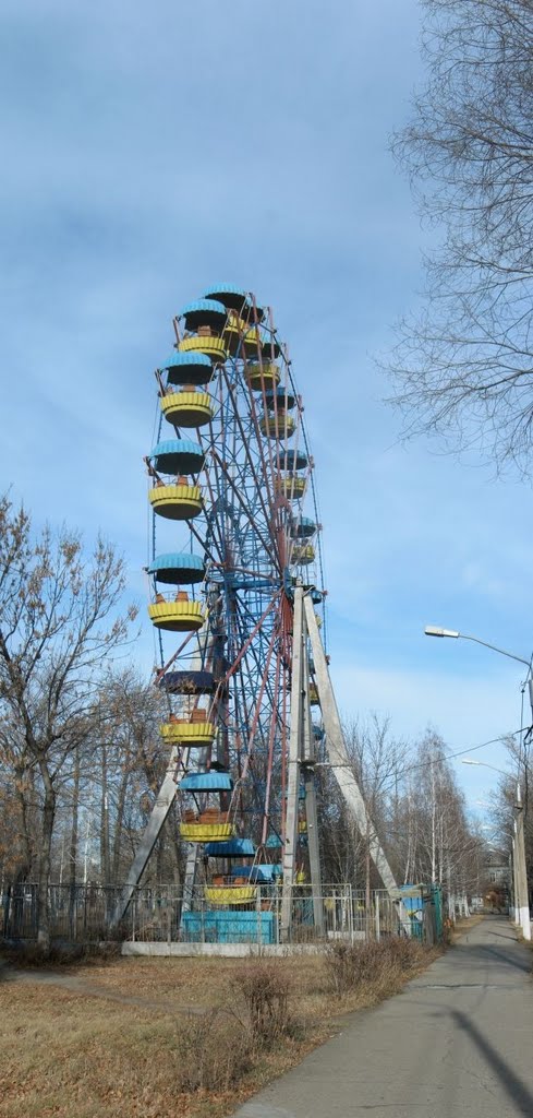 A Ferris Wheel in the Kirovs Park. 2010 November, Рубцовск