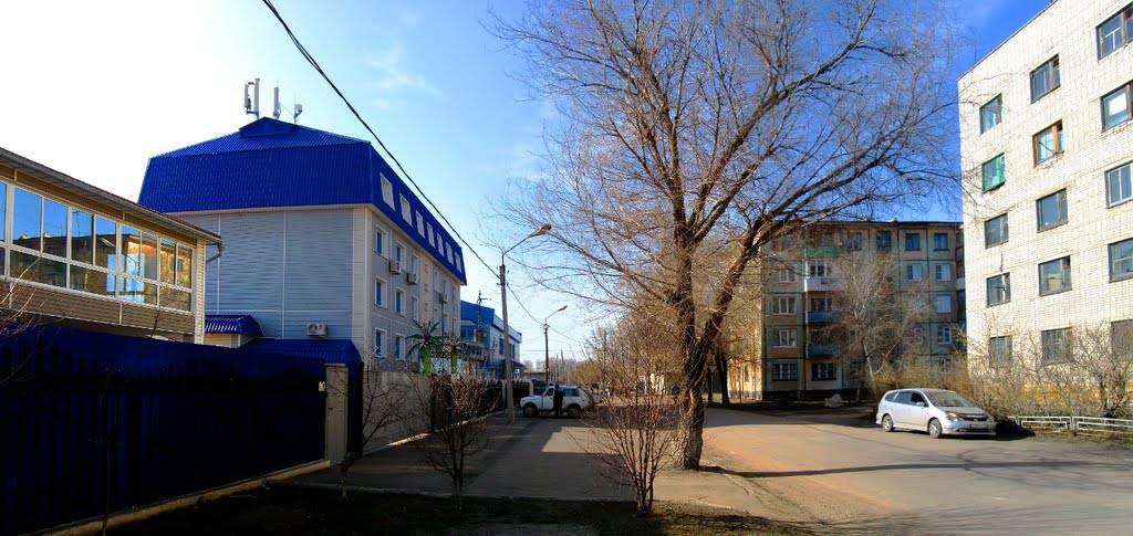 улица Королева. Рубцовск., Рубцовск