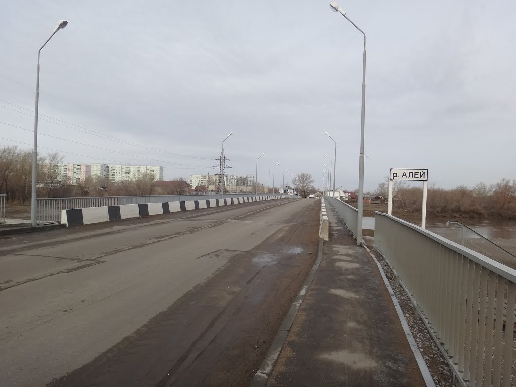 Мост через Алей, Рубцовск
