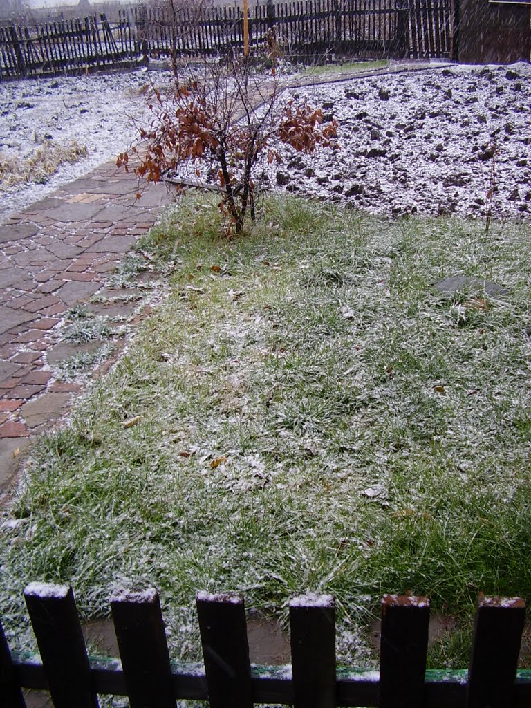 первый снег, Славгород