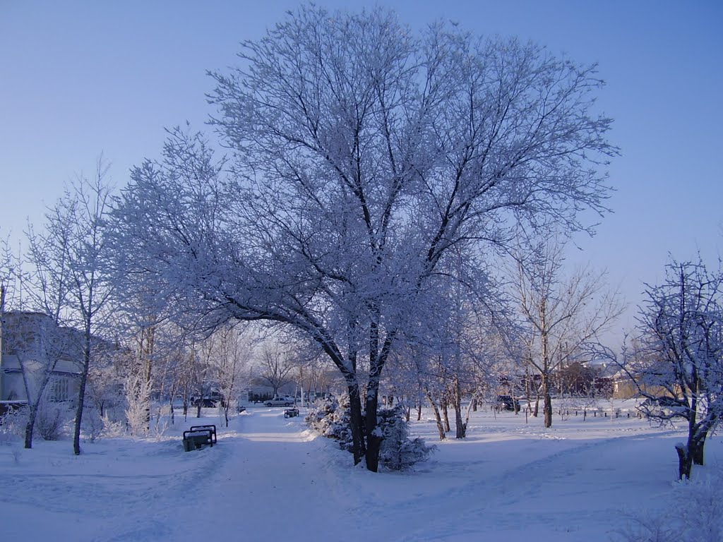 зимний день, Славгород