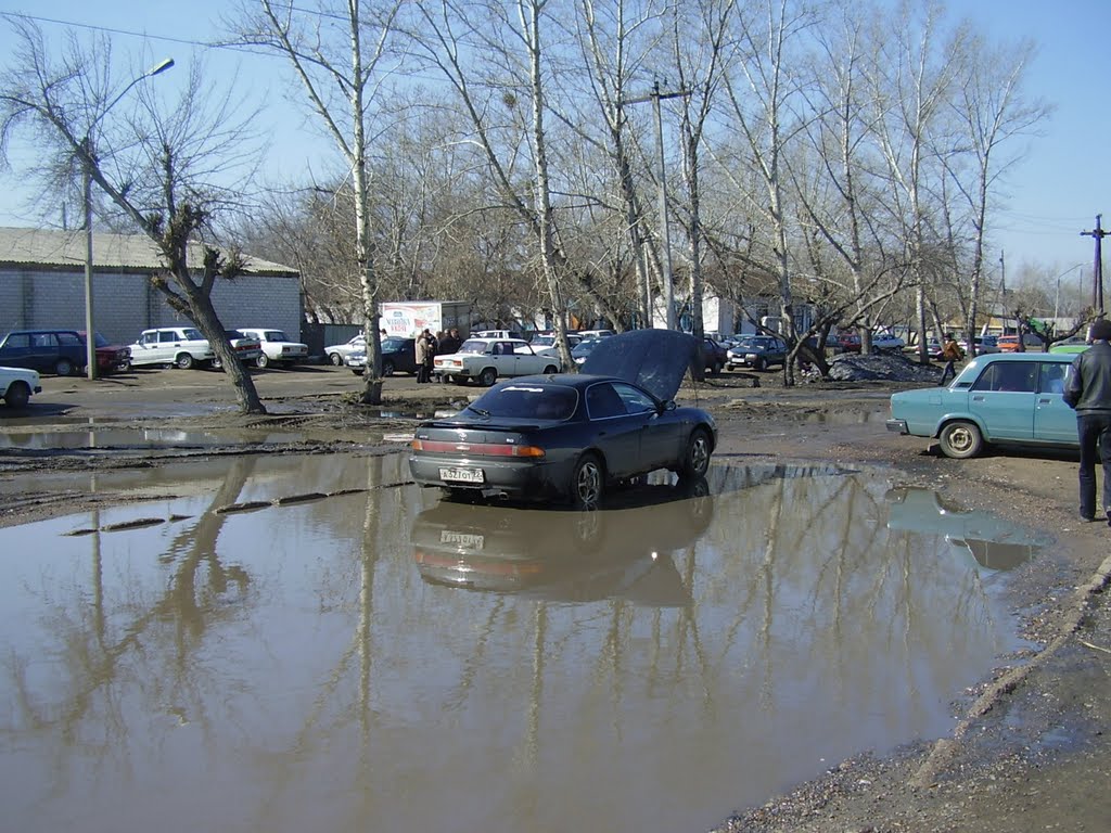 ВЕСНА, Славгород