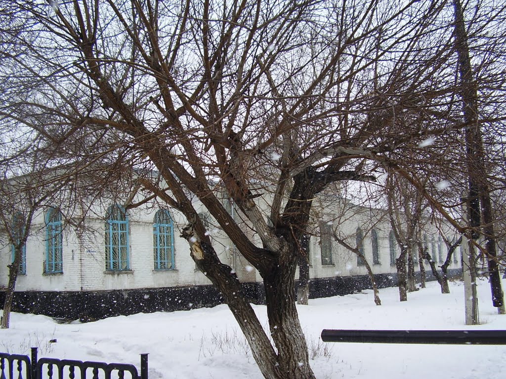 весенний снег, Славгород