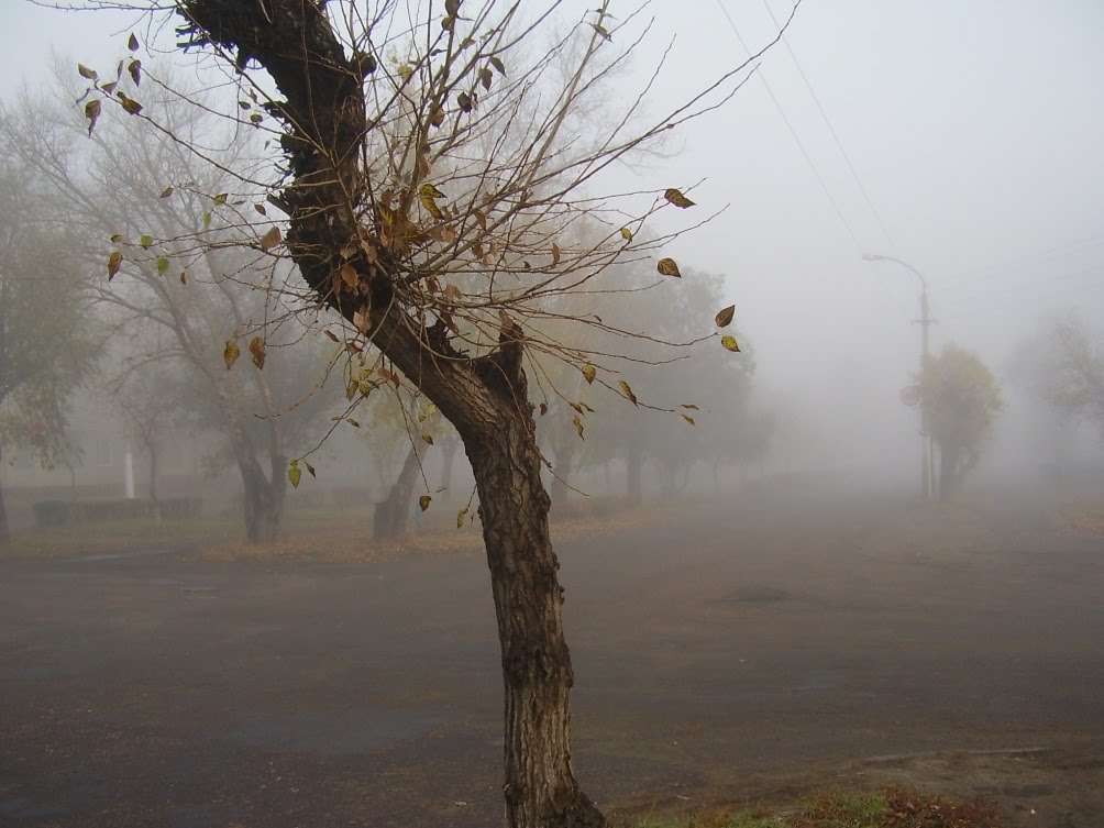 туманное утро, Славгород