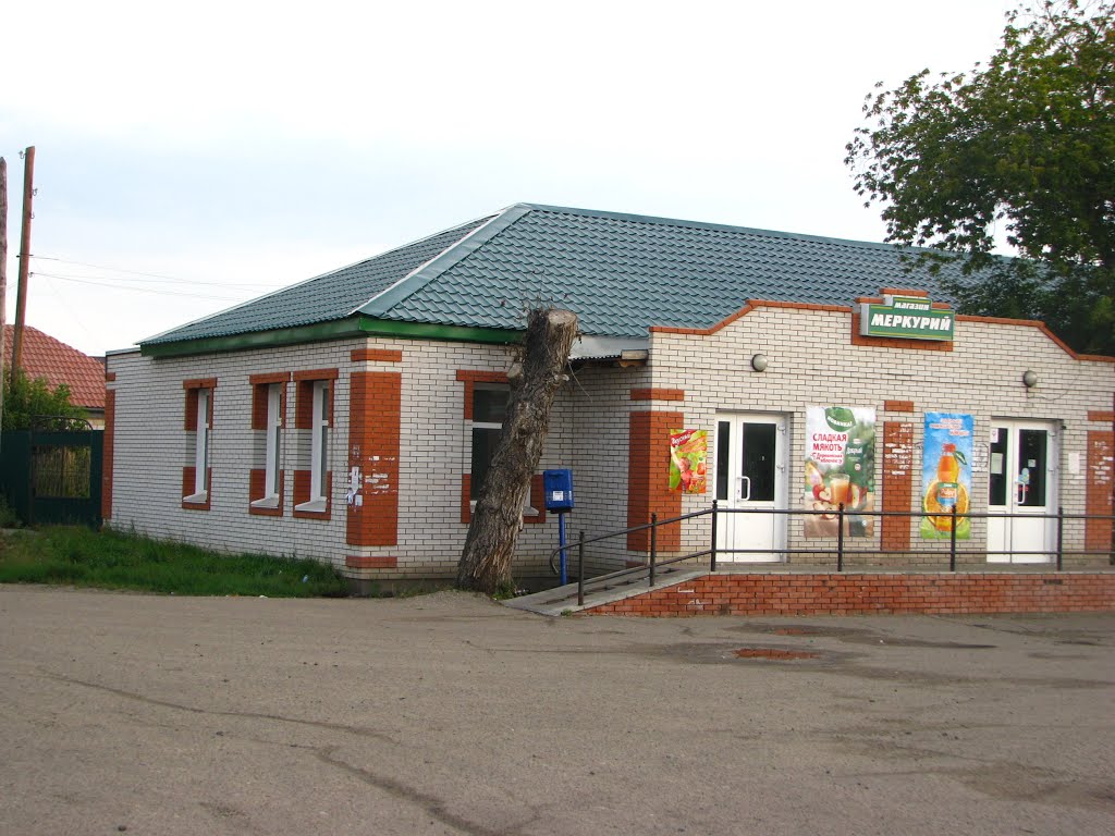 Slavgorod. Friendship of stump and post box. Aug 2013, Славгород