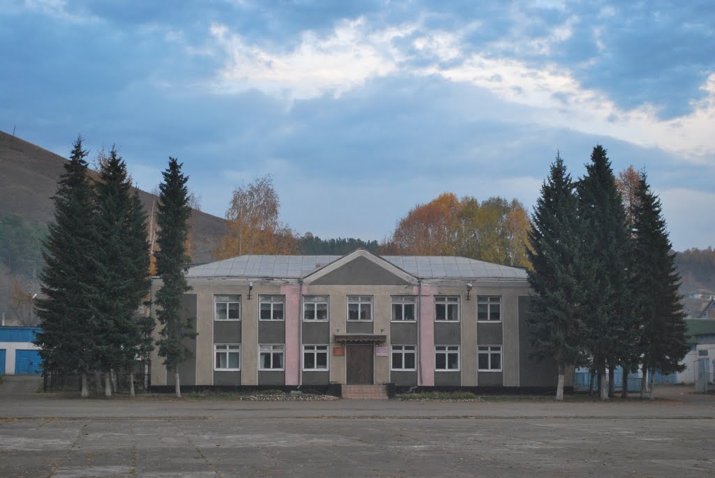 Центр детского творчества и детская школа искуств. (Здание бывшего райкома КПСС), Солонешное