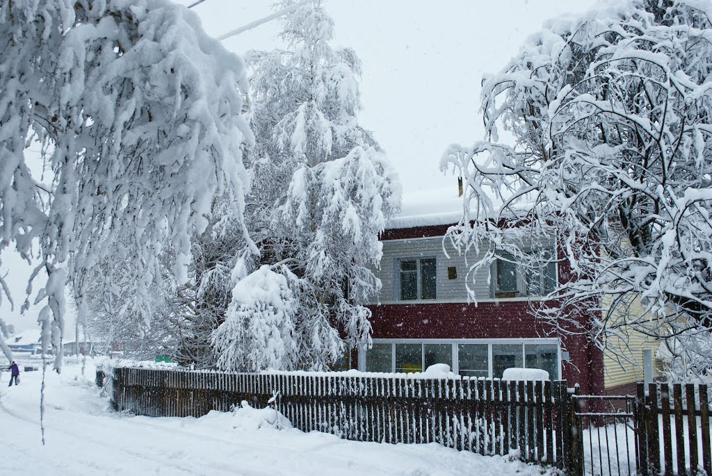 Первый снег. 24 октября 2012 года., Солонешное
