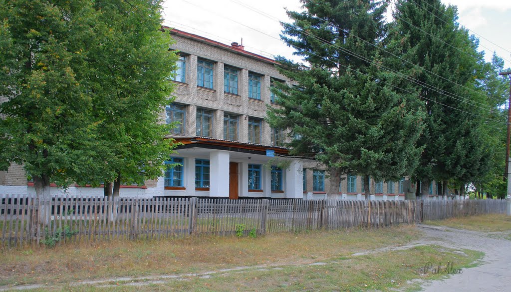 Школа №1, Троицкое