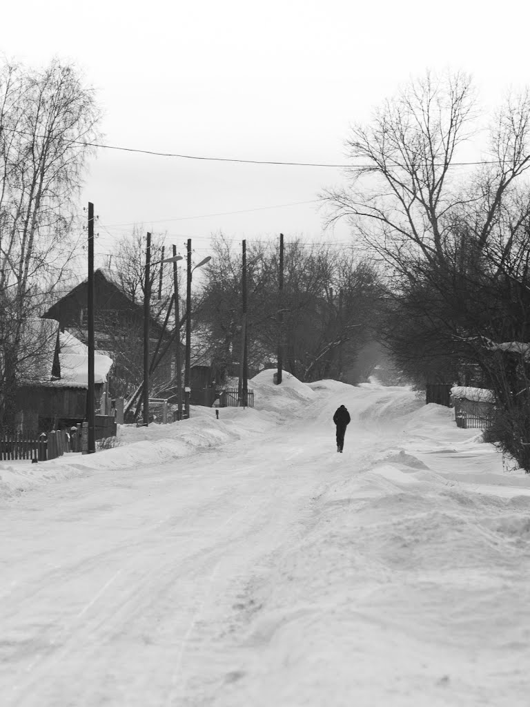 The figure on the village street, Троицкое