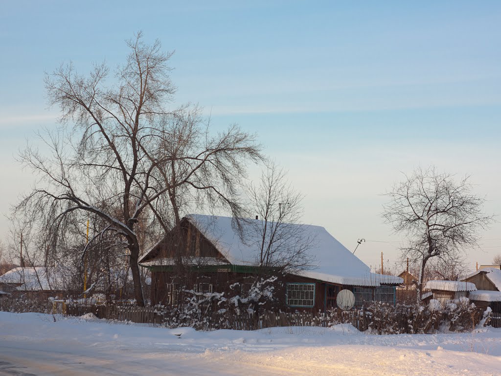 Home in the village, Троицкое