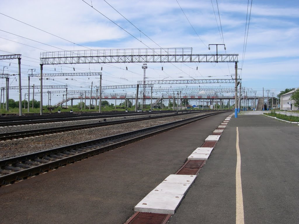 TransSiberian Railroad / Транссибирская магистраль, Архара