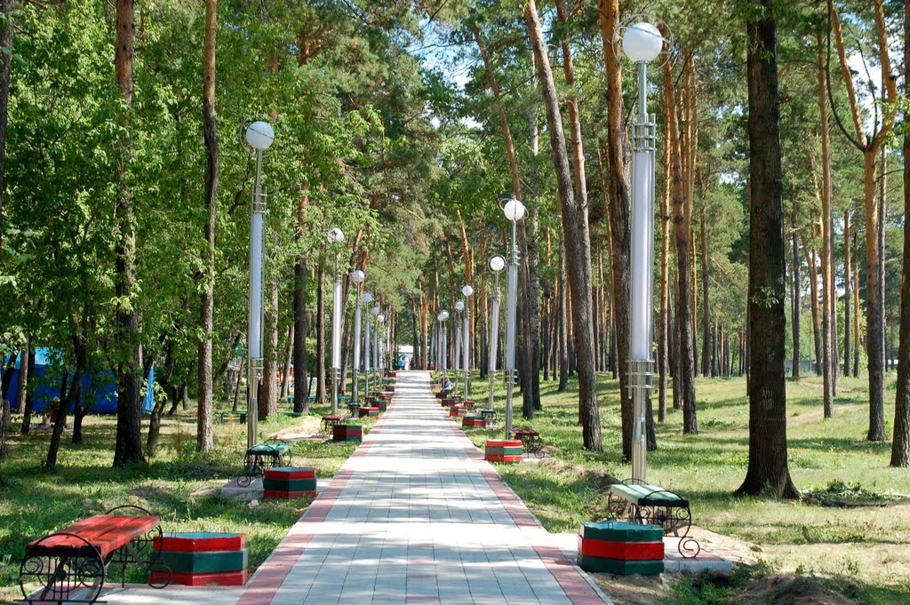 Аллея в городском парке, Белогорск