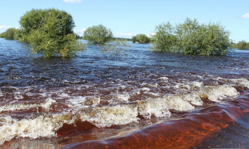 Наводнение, Белогорск