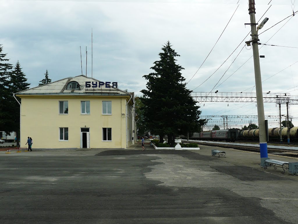 Станция Бурея, Бурея