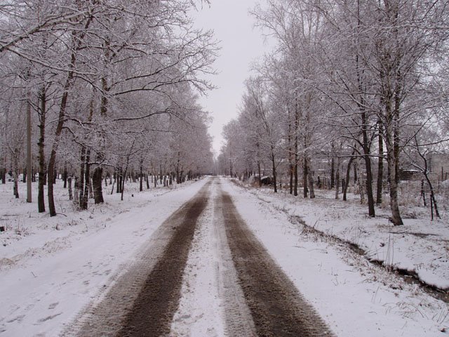 зимняя дорога (winter road), Возжаевка