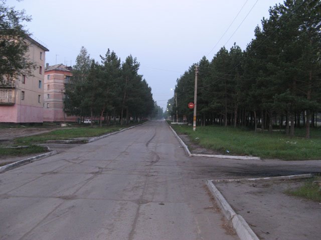 городок, Возжаевка