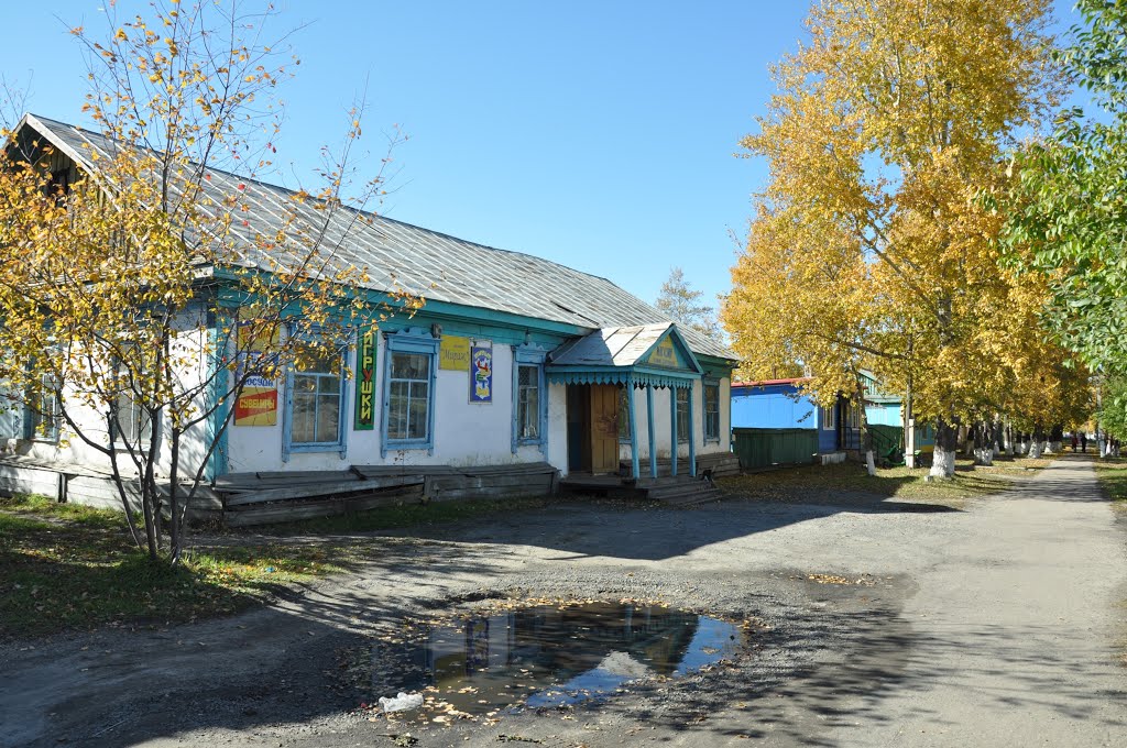 Ekaterinoslavka (2012-09) - Local shop, Екатеринославка