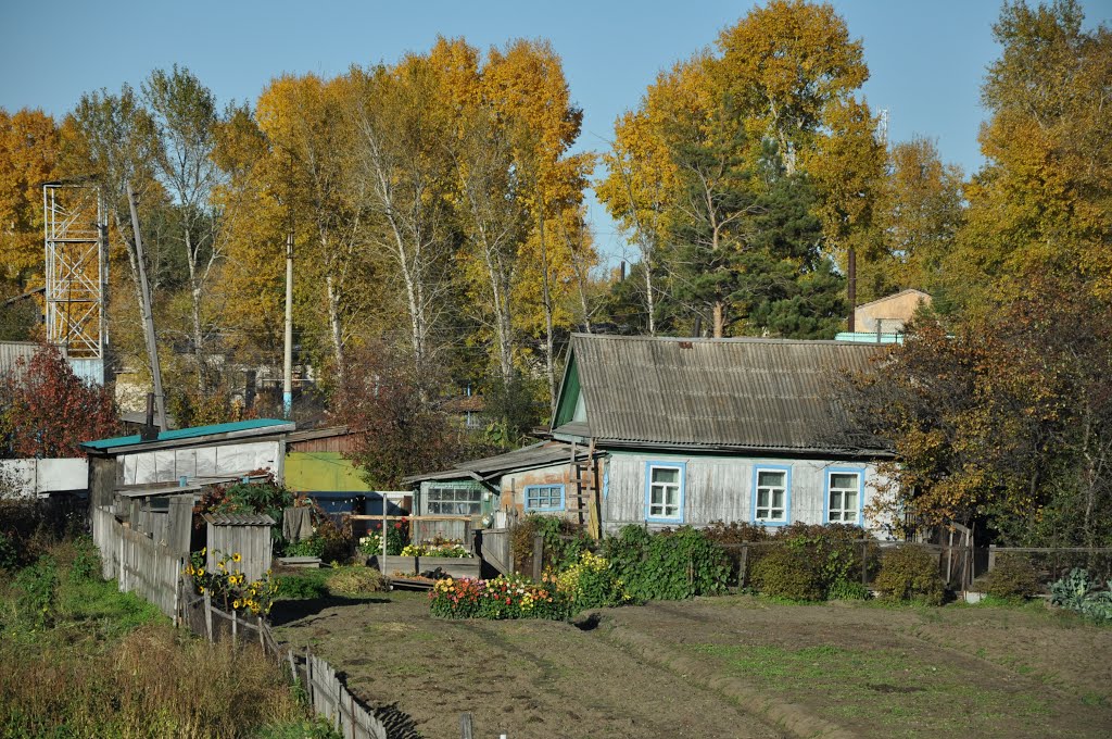 Ekaterinoslavka (2012-09) - Local houses and gardens, Екатеринославка