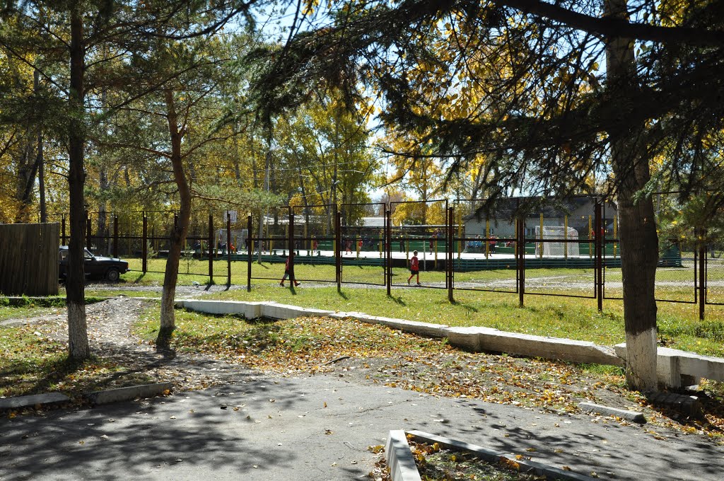 Ekaterinoslavka (2012-09) - School with sports ground, Екатеринославка