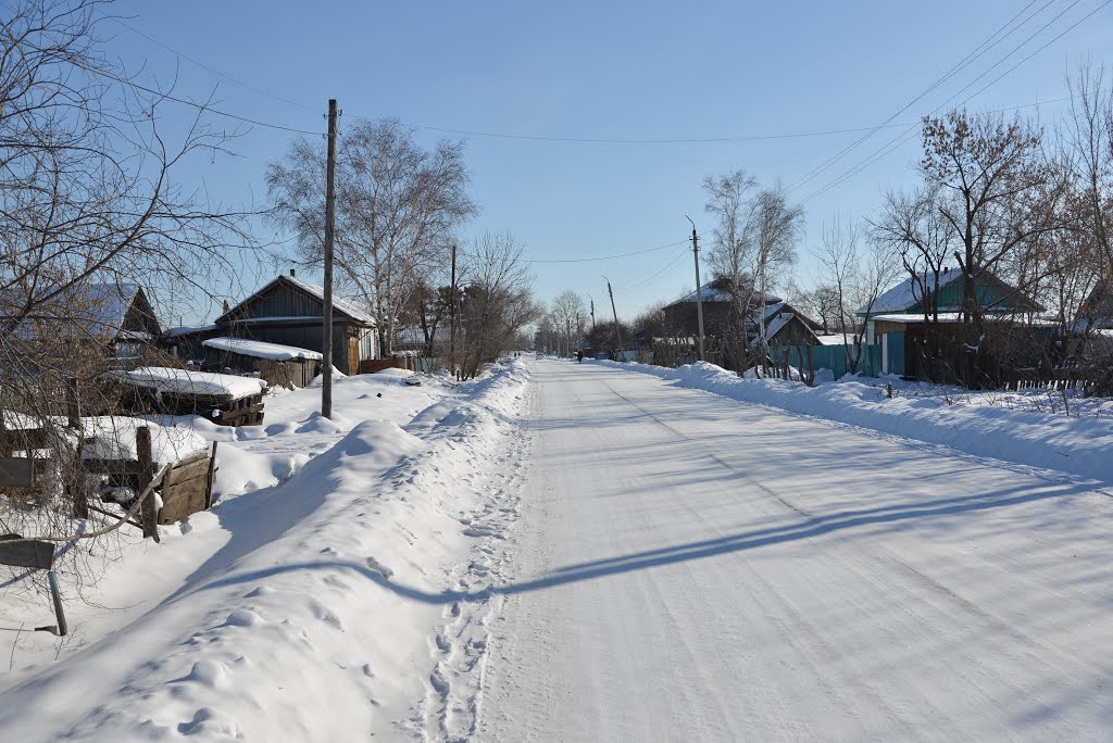 Ekaterinoslavka (2013-02) - Side road, Екатеринославка