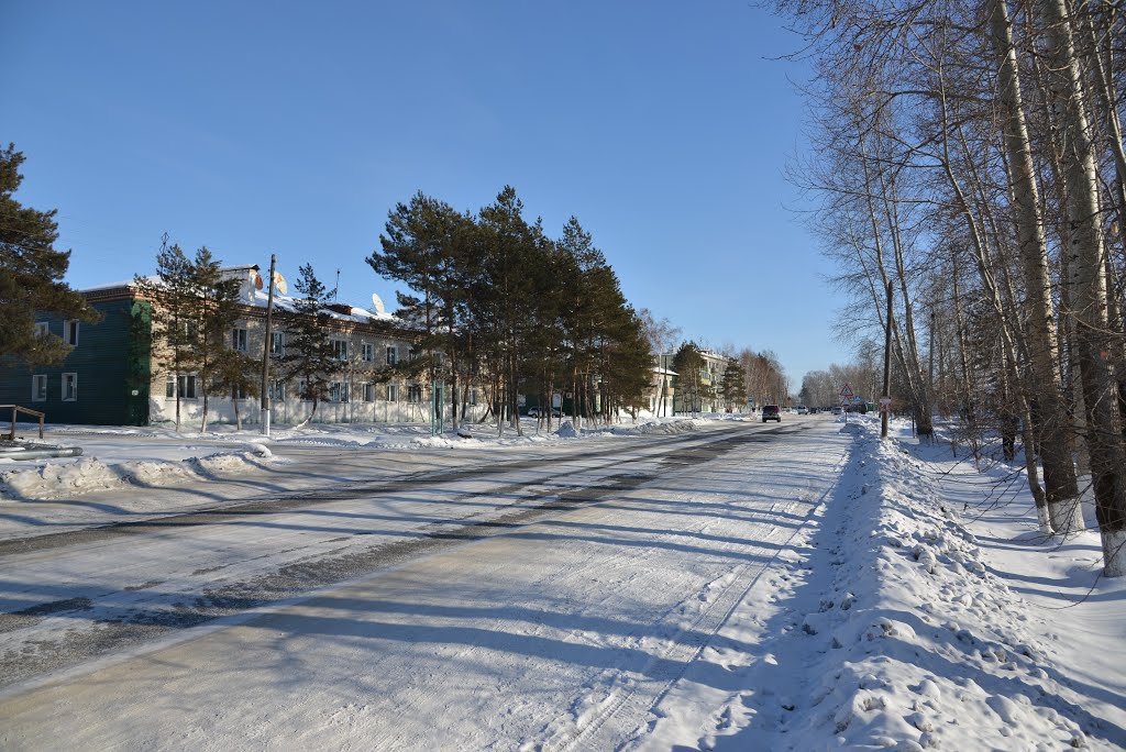 Ekaterinoslavka (2013-02) - View of main road, Екатеринославка
