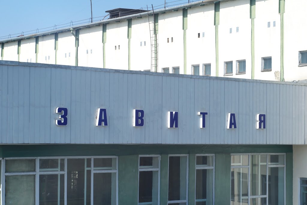 Вокзал, Завитинск