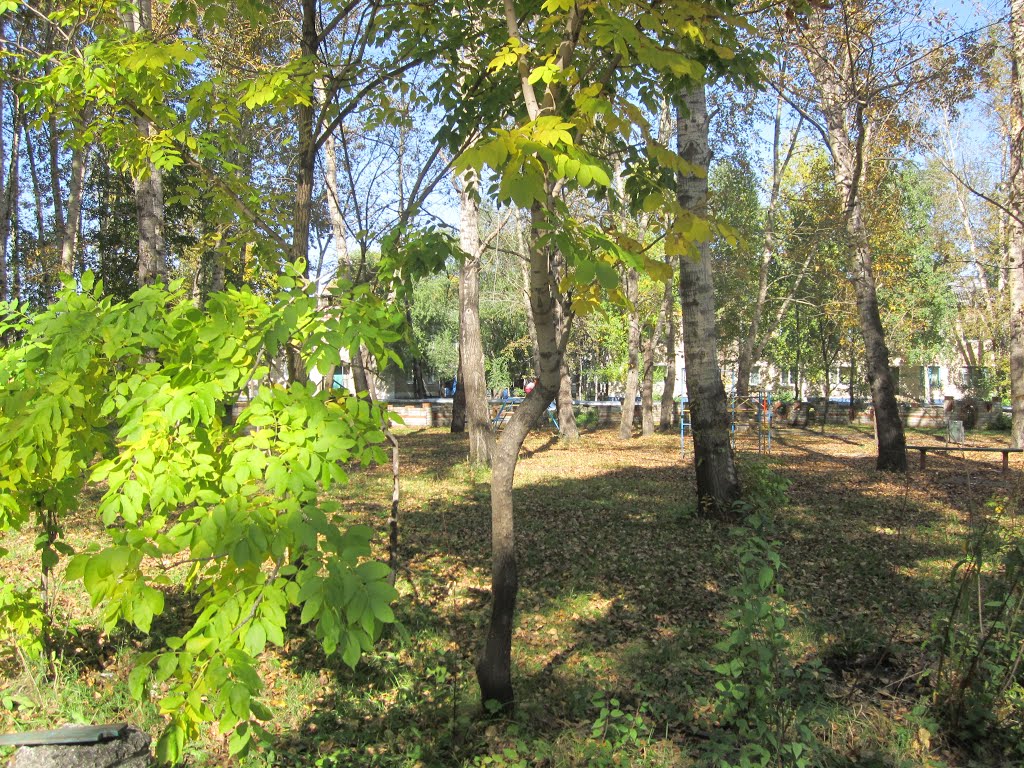 парк, Завитинск