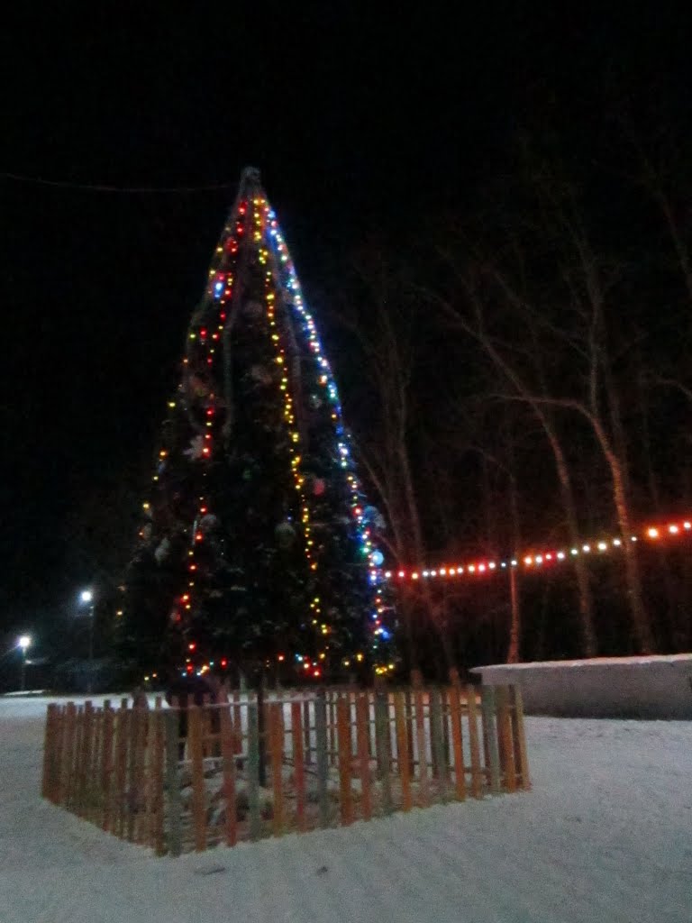 новогодняя ёлка на площади, Завитинск