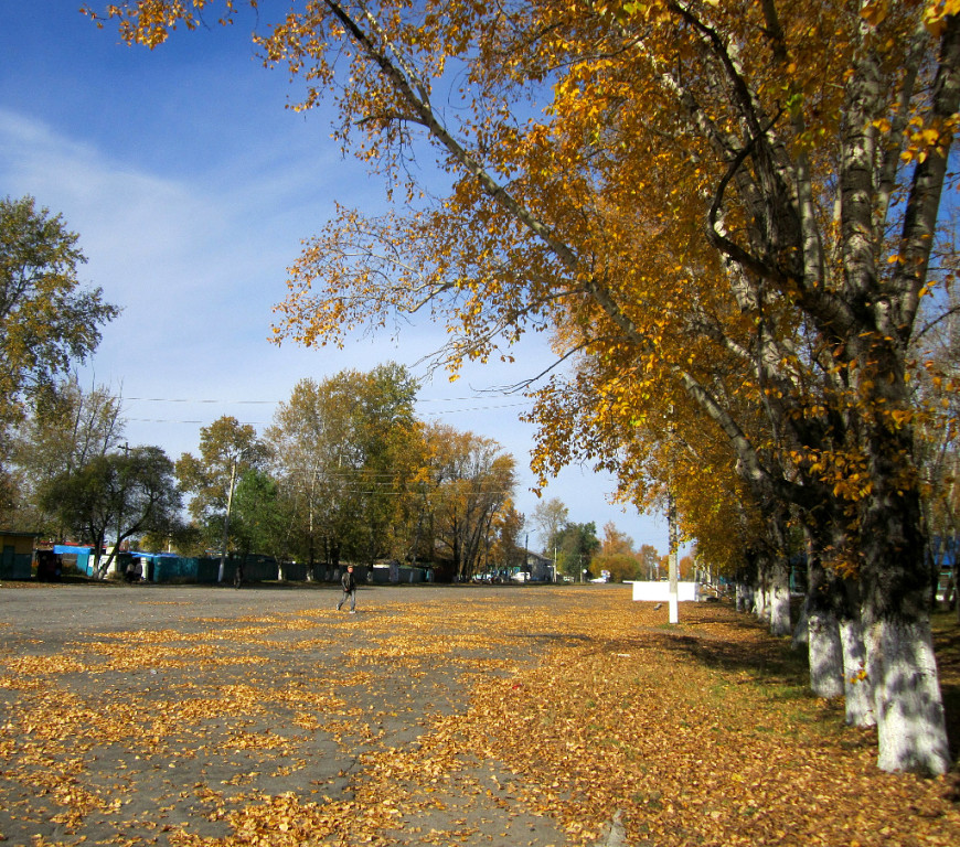 площадь, Завитинск