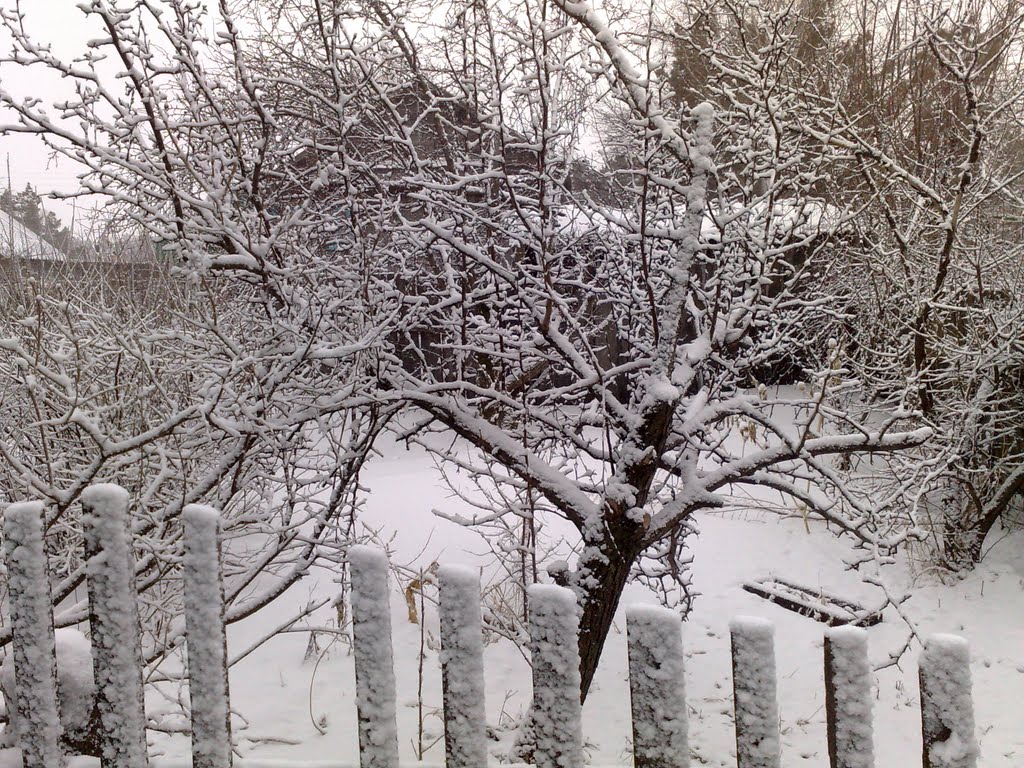 Зимний сaд-Winter garden, Ивановка