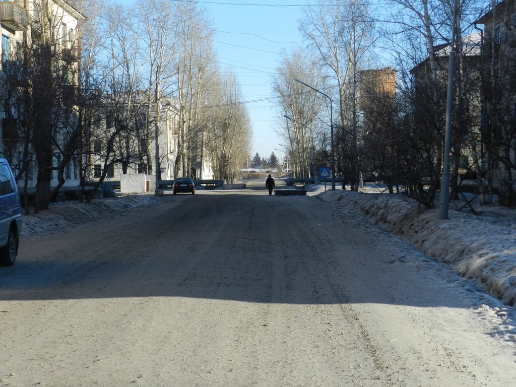 Дорога по улице Ковалева, Серышево