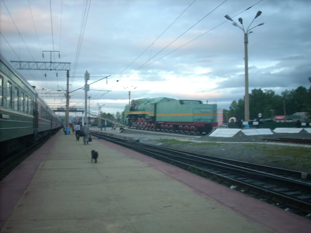 Станция Сковородино, Сковородино
