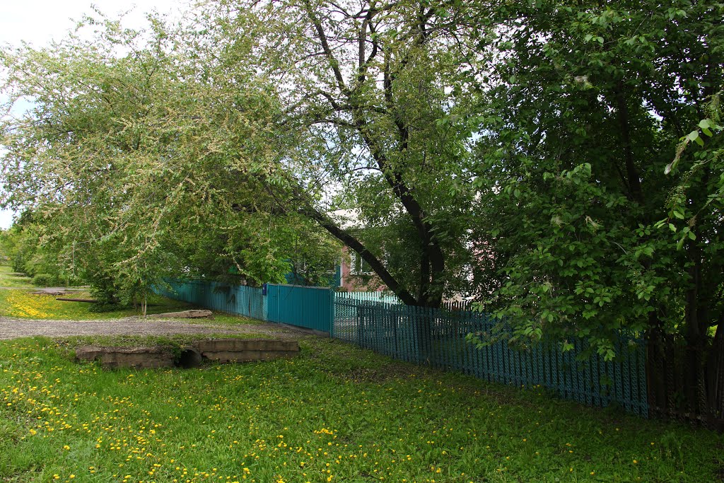 Pionerskaya st., Тамбовка