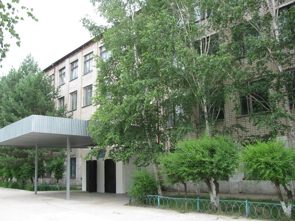 Средняя школа №1 (парадный вход), Шимановск