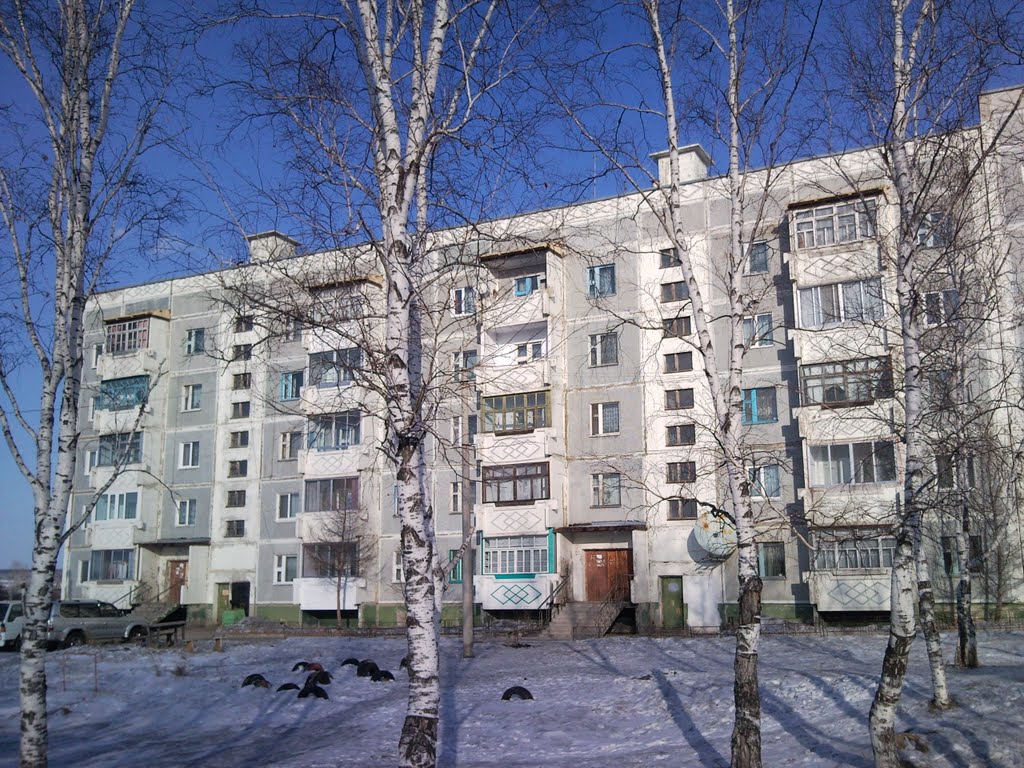 Дом №50, Шимановск
